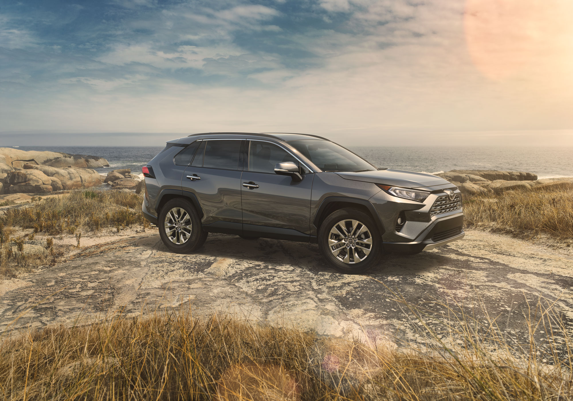 Image of a dark gray 2019 Toyota RAV4 parked in a prairie landscape.