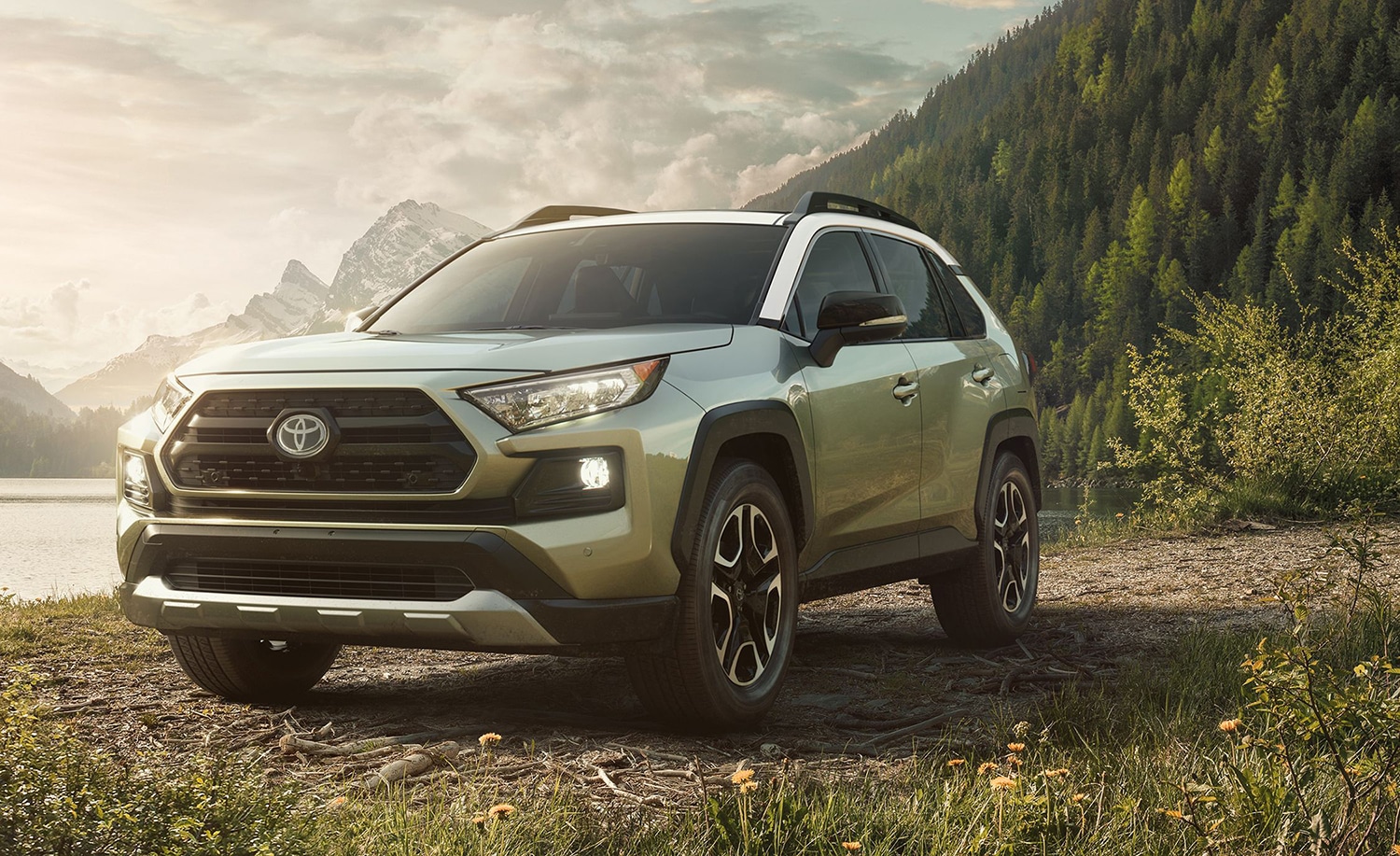 Image of a green 2019 Toyota RAV4 parked in the wilderness.