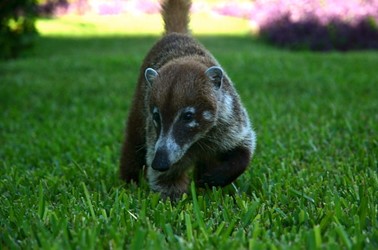 unique summer activities in jacksonville, fl