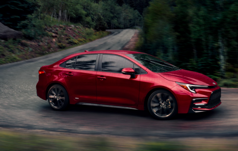 Corolla Driving in the woods