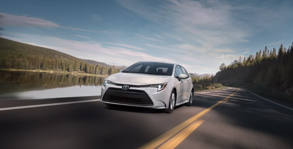 Toyota Corolla driving on scenic lakeside road