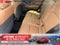 2025 Toyota Crown Signia XLE